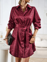 Elegant and elegant shirt collar open placket long sleeve dress